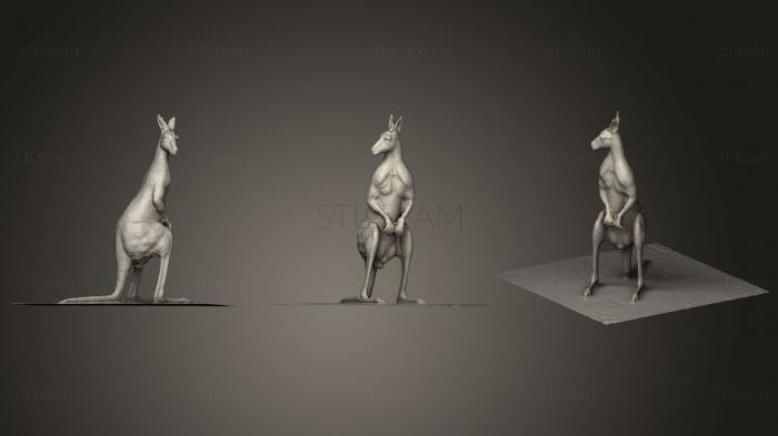 3D модель Статуя кенгуру (STL)